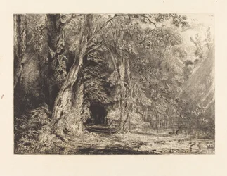 Overstroming in het Bos van het Île Séguin