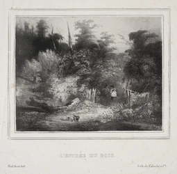 Landschappen: De ingang van een bos