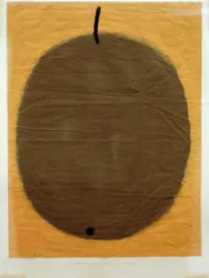 Zwarte vrucht