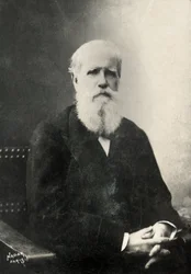 Portret van Dom Pedro , keizer van Brazilië (foto)