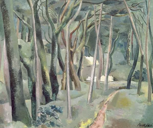 Het Bos