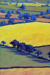 Van Ragged Stone (detail)