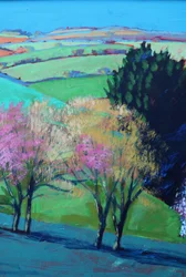 Teme Valley bloesem close-up 2