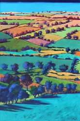 Teme Valley zomer I