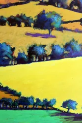 Whiteleaved eik close-up 3