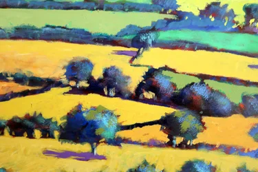 Whiteleaved eik close-up 5