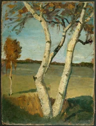 Twee-stammige berk voor landschap