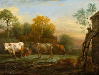 Runderen in een weide