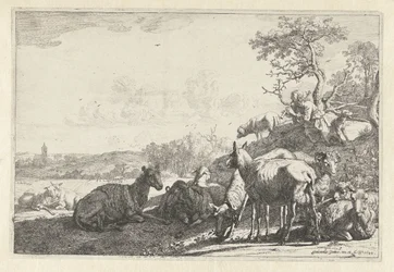 De schaapherder