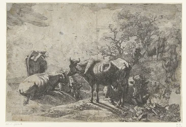 De veehoeder
