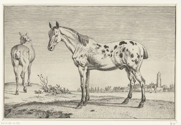 Het gecoupeerde paard
