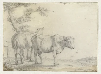 Paard en een koe bij een boom