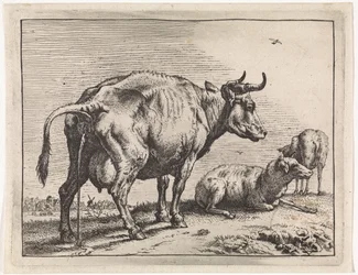 Pissende koe Het Bullenboekje (series title)