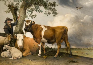 De Stier