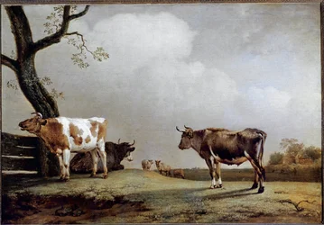 De weide