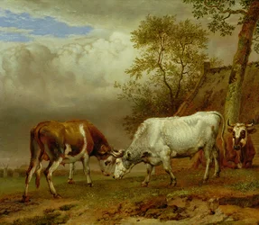 Twee stieren met vergrendelde hoorns, 1653