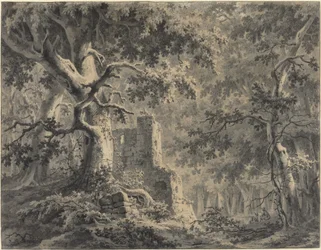 Ruïnes bij een bosbeek