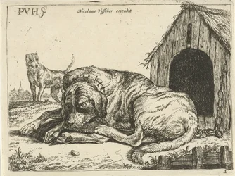 Liggende hond aan een ketting