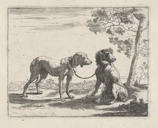 Twee honden