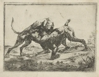Vechtende honden