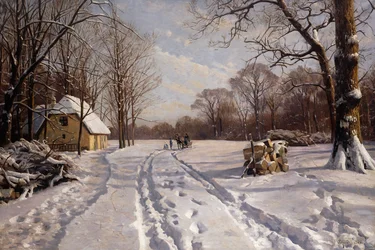 Een sleerit door een winterlandschap