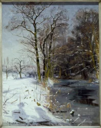 Zonnige winterdag
