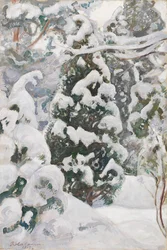 Jeneverbes in de sneeuw