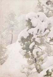Winterlandschap