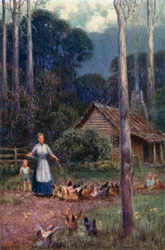 Een hut in de bush