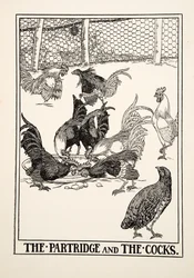 De patrijs en de hanen, uit Honderd fabels van Aesopus, gepubliceerd in 1903