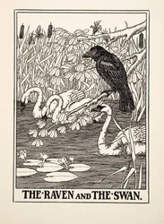 De raaf en de zwaan, uit Honderd fabels van Aesopus, gepubliceerd in 1903