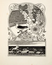 De tamme meeuw, uit Honderd anekdotes van dieren, uitgegeven 1924 (gravure)