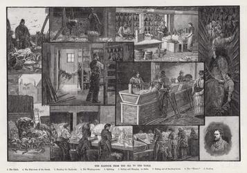 De Schelvis van de Zee naar de Tafel