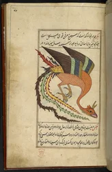 De simurgh, een Iraanse dondervogel, uit 