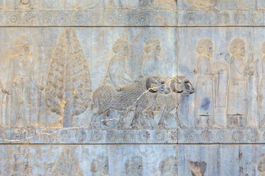 Bas-reliëfs op de muren van het Apadana-paleis en trap, Persepolis, Iran