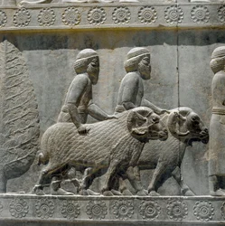 Sogdiërs brengen geschenken aan Darius I. Reliëfs van de oostelijke trap van de Apadana, 6e eeuw v.Chr.