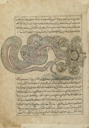 De Zeeslang (al-Tannin), folio uit Ajaib al-makhluqat (Wonderen der Schepping) door al-Qazvini, Irak of Oost-Turkije