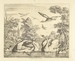Drie zwanen en andere vogels bij een vijver