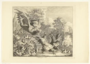 Hanengevecht Verschillende vogels (series title)