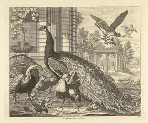 Pauw en kalkoen bij een tuincolonnade, uit de serie Verschillende vogels
