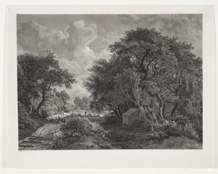 Weg door een Dorp met Hoge Bomen