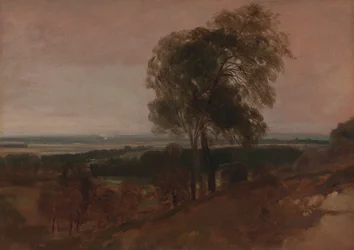 Landschapsstudie bij zonsondergang
