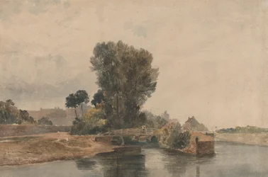 Windsor van Onder de Sloten
