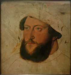 Paltsgraaf Ottheinrich