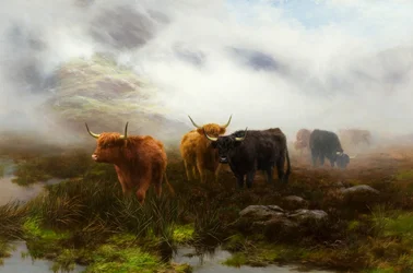 Heide en Mist