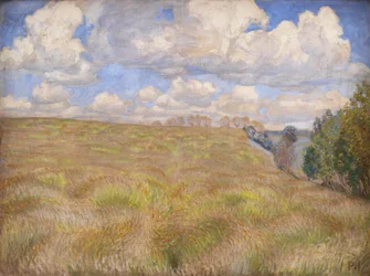 Een veld met wuivende rogge