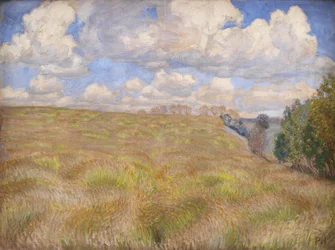 Een veld met wuivende rogge