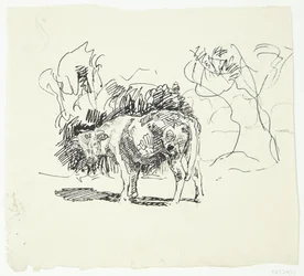 Staande stier