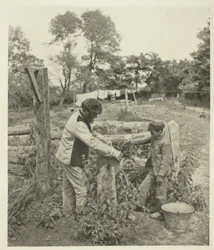 Bij de Slijpsteen - Een Boerderij in Suffolk