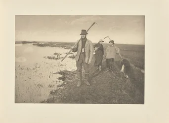 Thuiskomen uit de moerassen